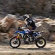 BMW F 450 GS