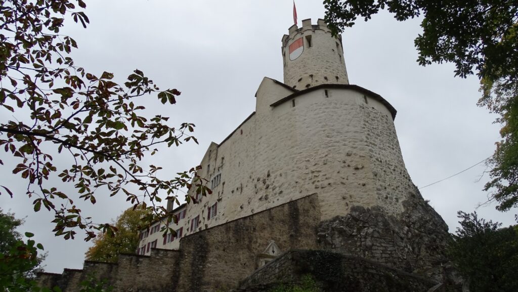 Blick vom Waldweg hoch zur «Neu Bechburg» auf die Ringmauer und den Wehrturm.